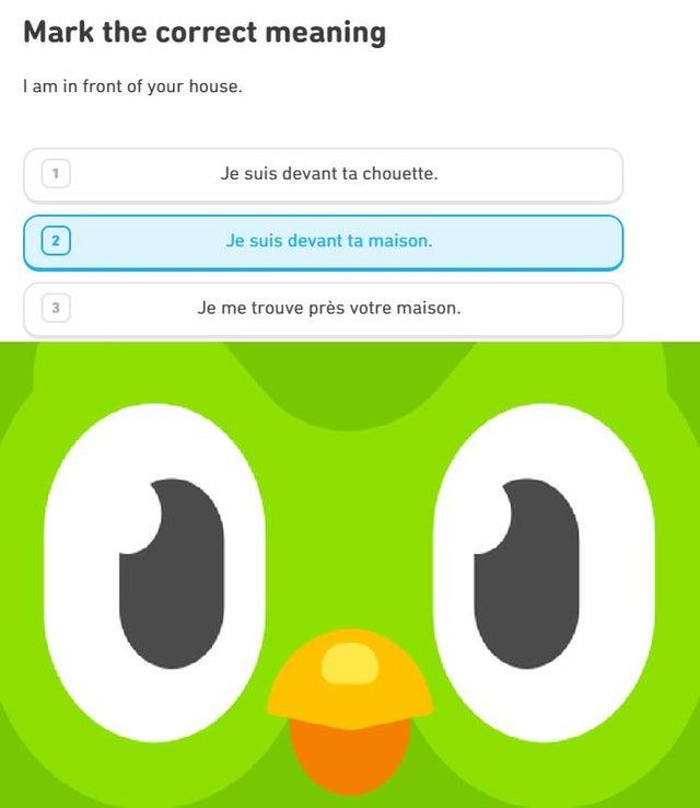 25 Duolingo Owl Memes That Will Keep You Up At Night 10 im in front of your house