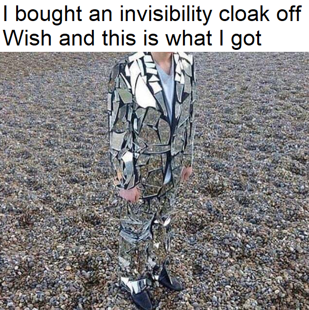 32 "When You Order From Wish Memes" That Will Make You Wish You Never Ordered From Wish 5 invisibility cloak