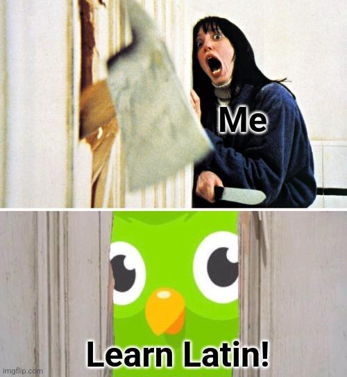 25 Duolingo Owl Memes That Will Keep You Up At Night 11 learn latin