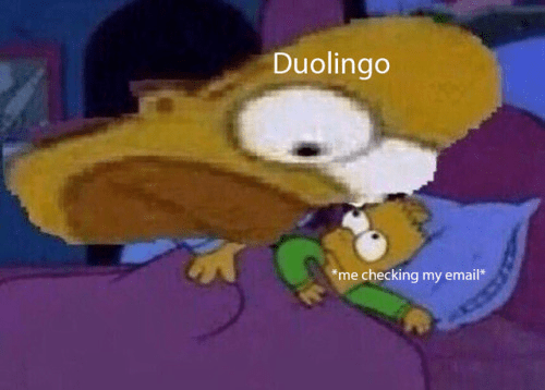 25 Duolingo Owl Memes That Will Keep You Up At Night 12 me checking my email