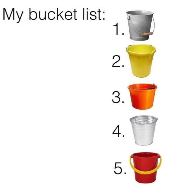 What The Pun! Step into the World of Punny Memes 10 my bucket list