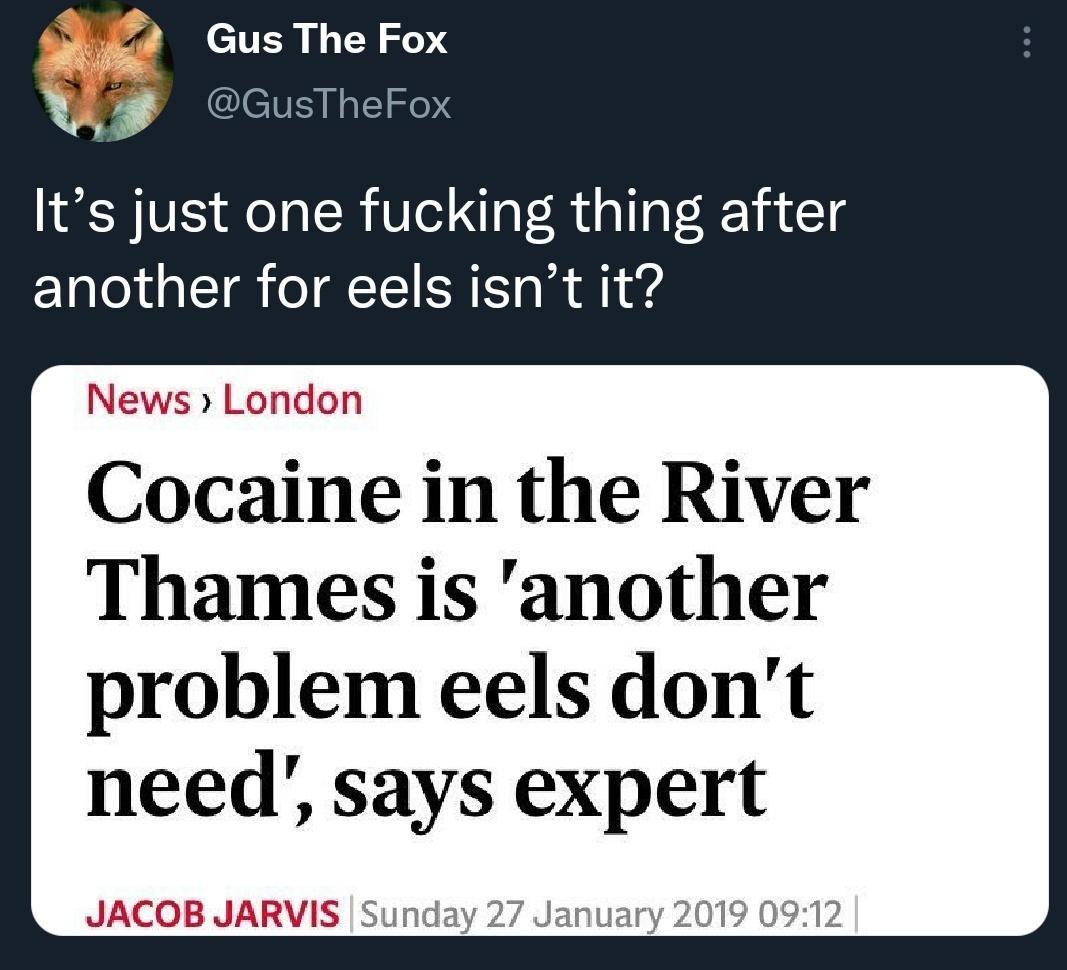 A Haphazard Assortment Of Memes To Make You Feel Relevant 11 one thing after another for eels