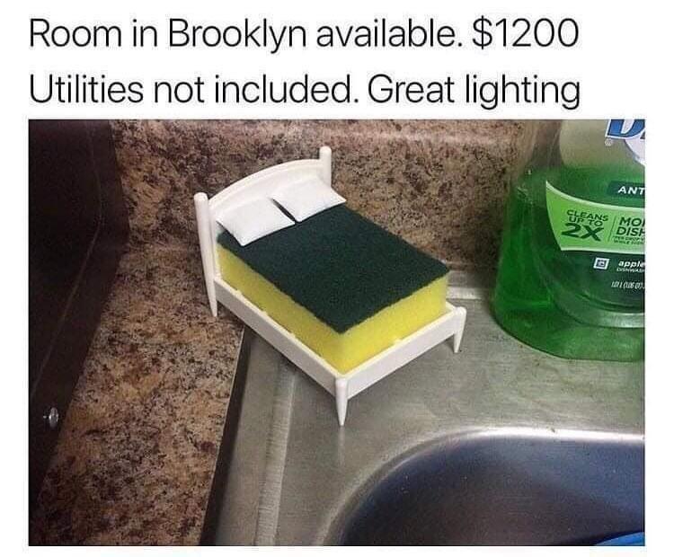 40 Hilarious Memes for These Trying Times 17 room in brooklyn