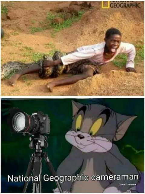 20 Best National Geographic Cameraman Memes Of All Time 13 snake on kid