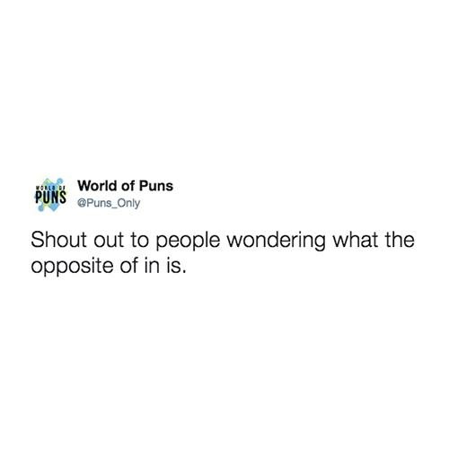 What The Pun! Step into the World of Punny Memes 13 shout out to people