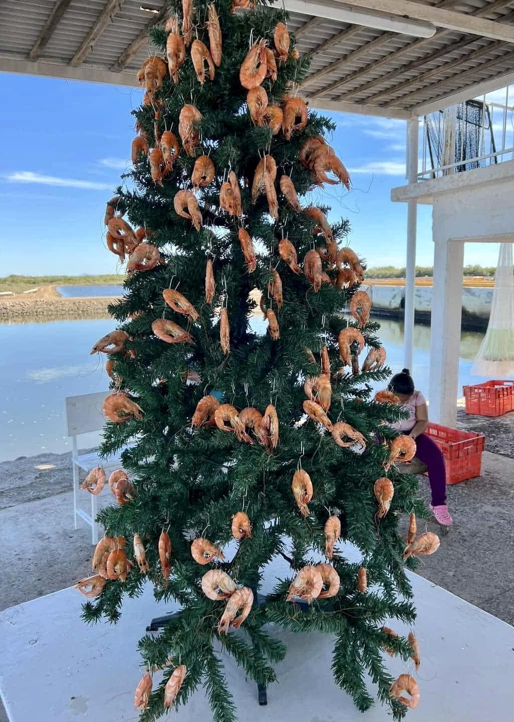 30 Funniest "Things In Places Where It Shouldn't Be" Memes 18 shrimps on Christmas tree