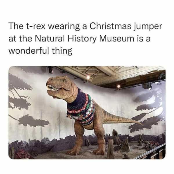 20 Random Memes To Make Your Sunday Better 5 t rex wearing Christmas jumper