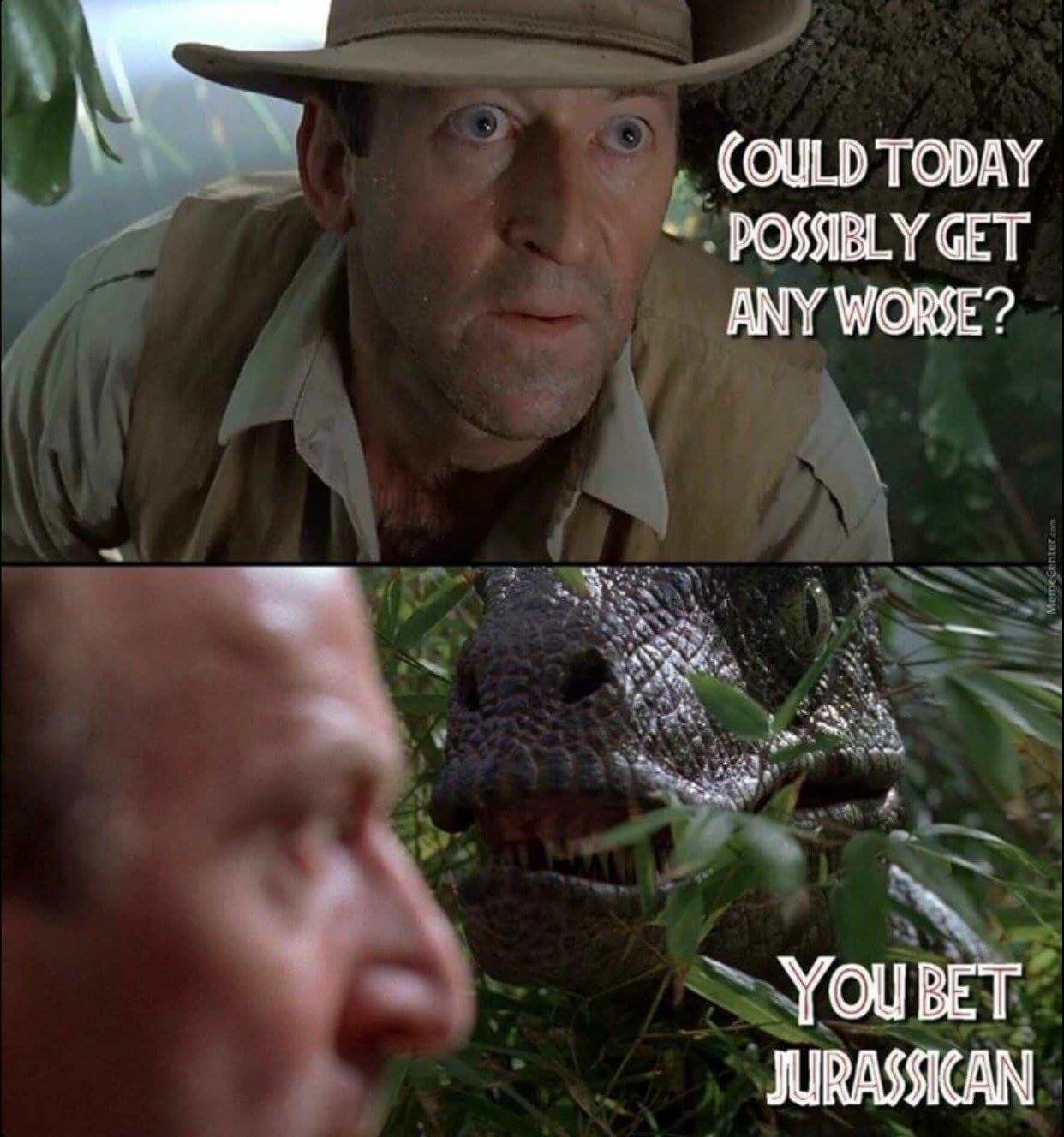 What The Pun! Step into the World of Punny Memes 16 today could possibly get any worse