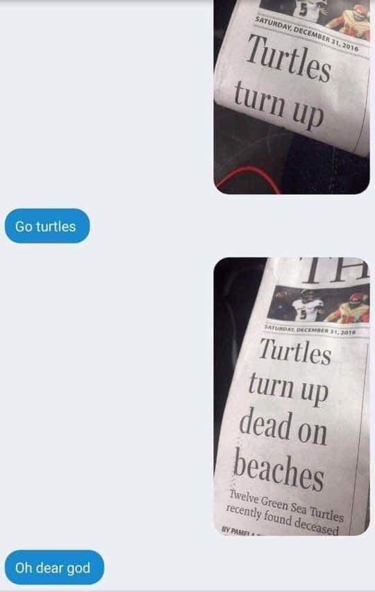30 Bottom Shelf Memes For Your Top Shelf Occasions 8 turtles turn up - bottom shelf memes