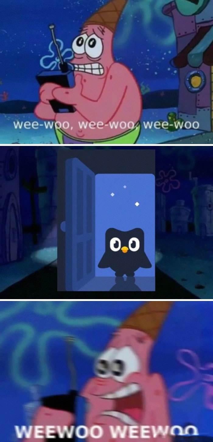 25 Duolingo Owl Memes That Will Keep You Up At Night 18 wee woo