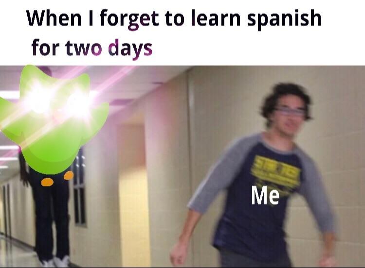 25 Duolingo Owl Memes That Will Keep You Up At Night 19 when I forget to learn Spanish