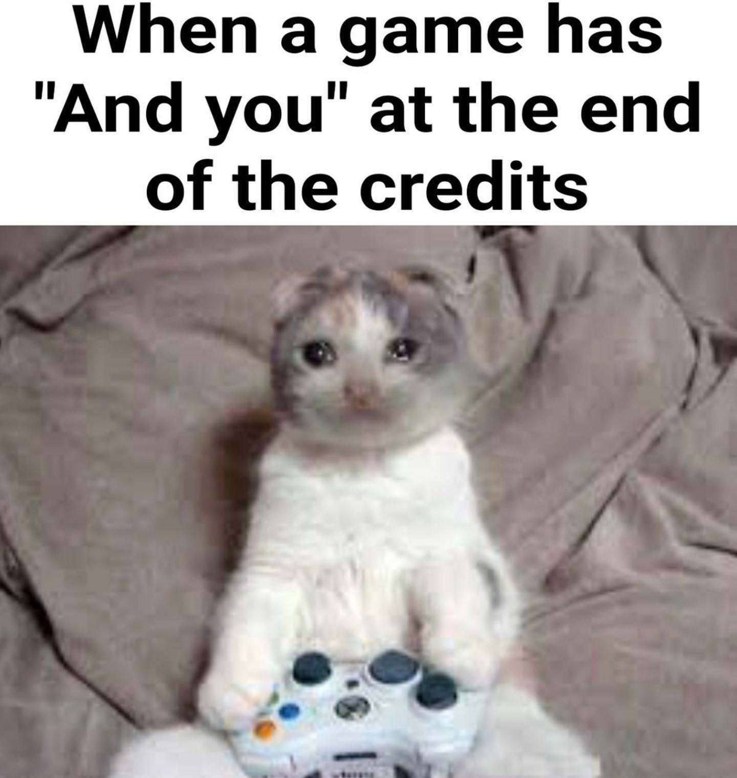 30 Bottom Shelf Memes For Your Top Shelf Occasions 6 when the game has and you ant the end - bottom shelf memes