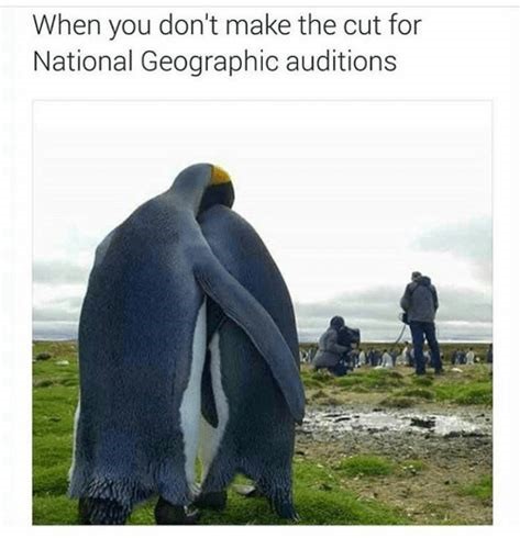 20 Best National Geographic Cameraman Memes Of All Time 19 when you don't make the cut for auditions
