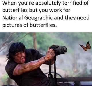 20 Best National Geographic Cameraman Memes Of All Time 20 when you're absolutely terrified of butterflies