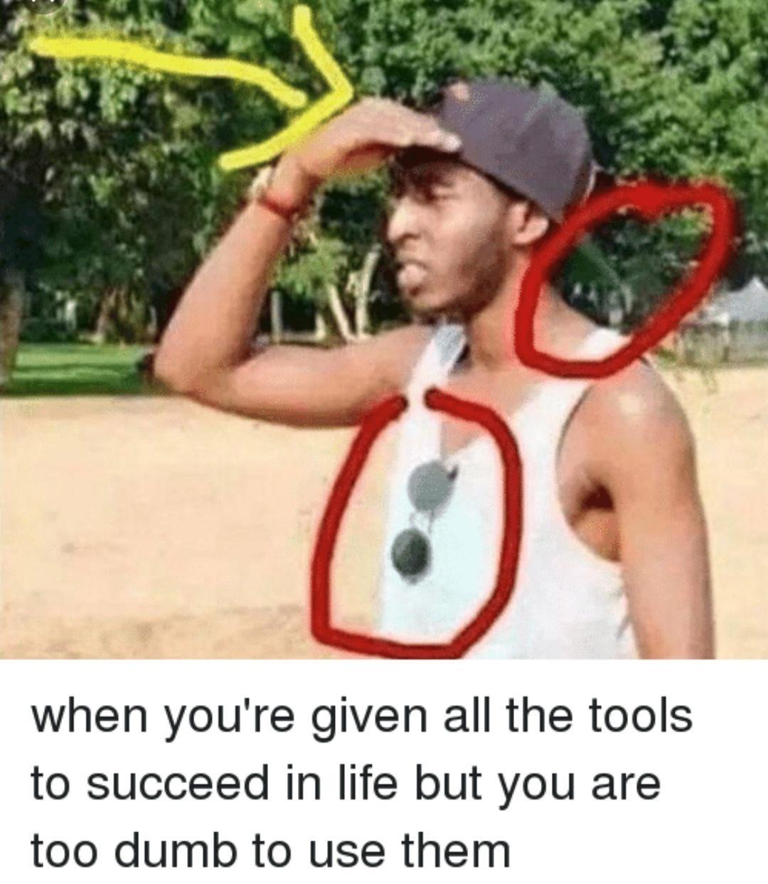 30 Bottom Shelf Memes For Your Top Shelf Occasions 3 when you're given all the tools to succeed - bottom shelf memes
