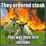 Cow Memes - FG