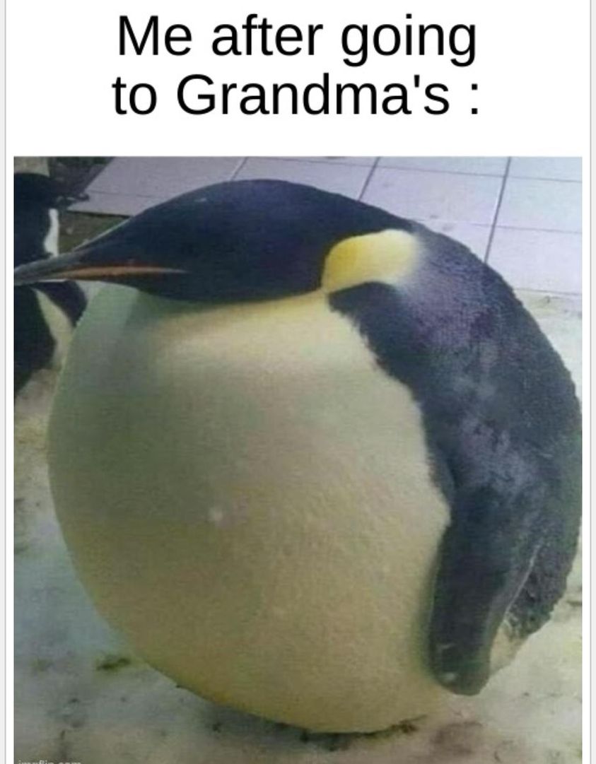 After Visiting Grandma 1 Visiting grandma meme
