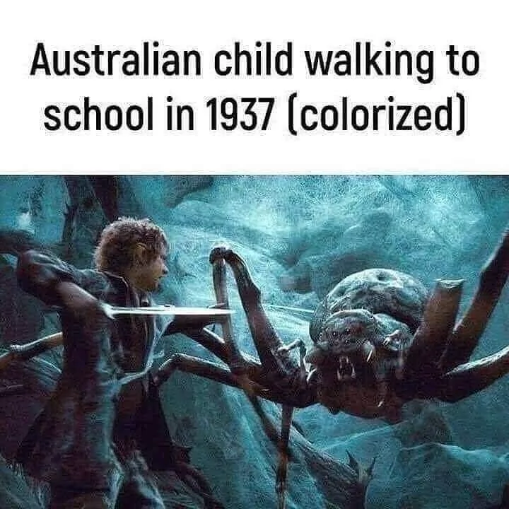 Australian child walking to school meme
