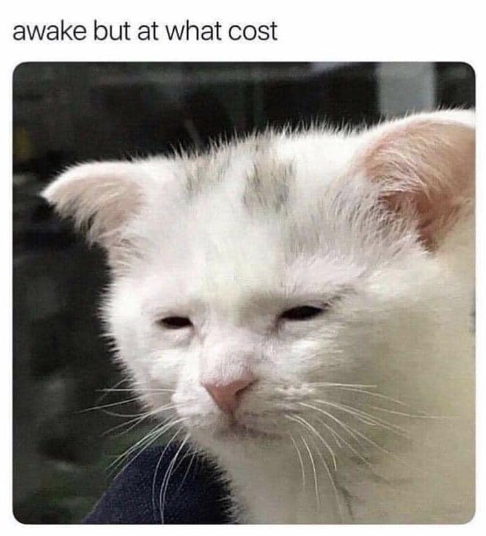 Awake But At What Cost 1 Awake meme