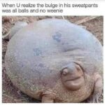 Bulge memes