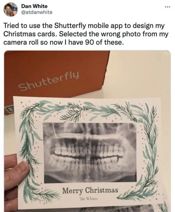 When Life Gives You Lemons, Make A Meme: 25 Memes to Cope with Adversity 1 Christmas cards