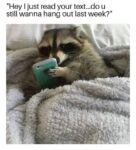 I just read your text meme
