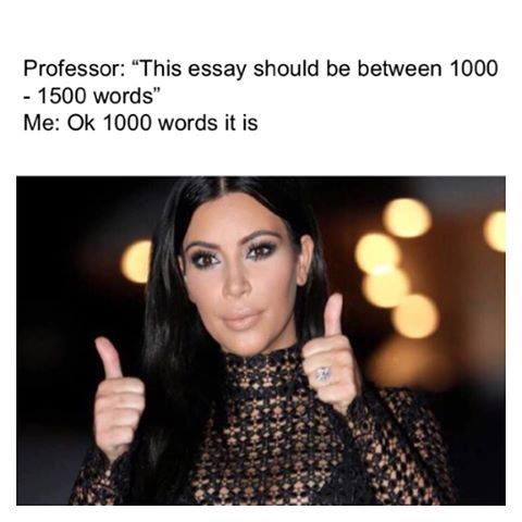 25 College Memes That Perfectly Sum Up The College Life 4 Essay should be 1000 characters