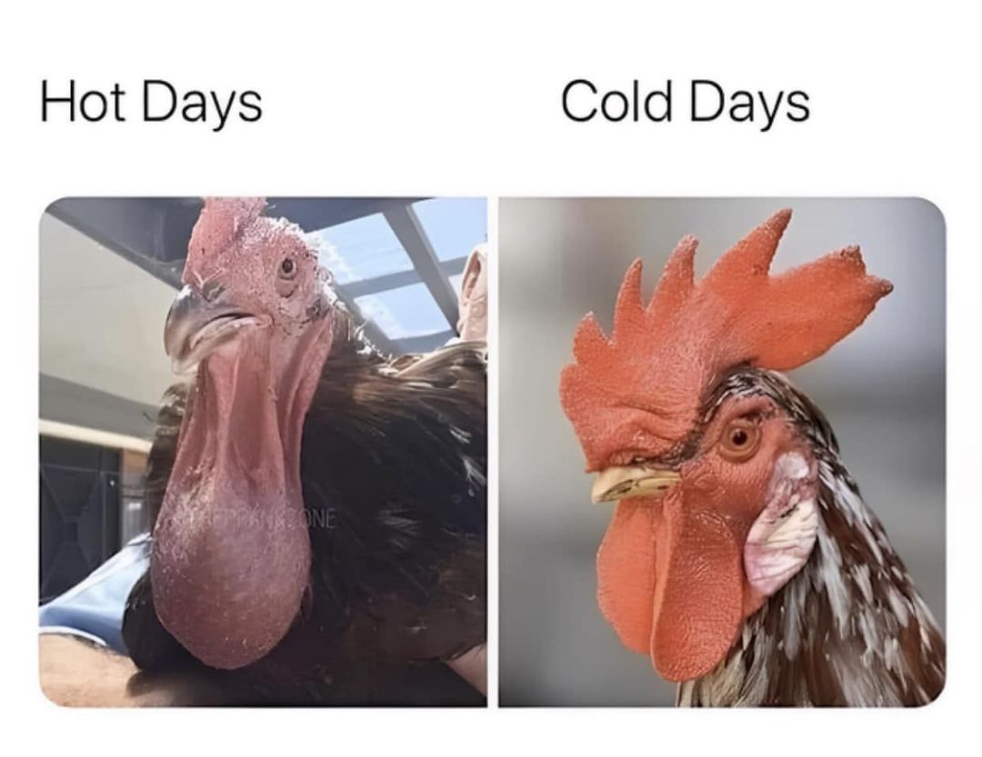 Hot Days vs Cold Days 1 Hot Days vs Cold Days