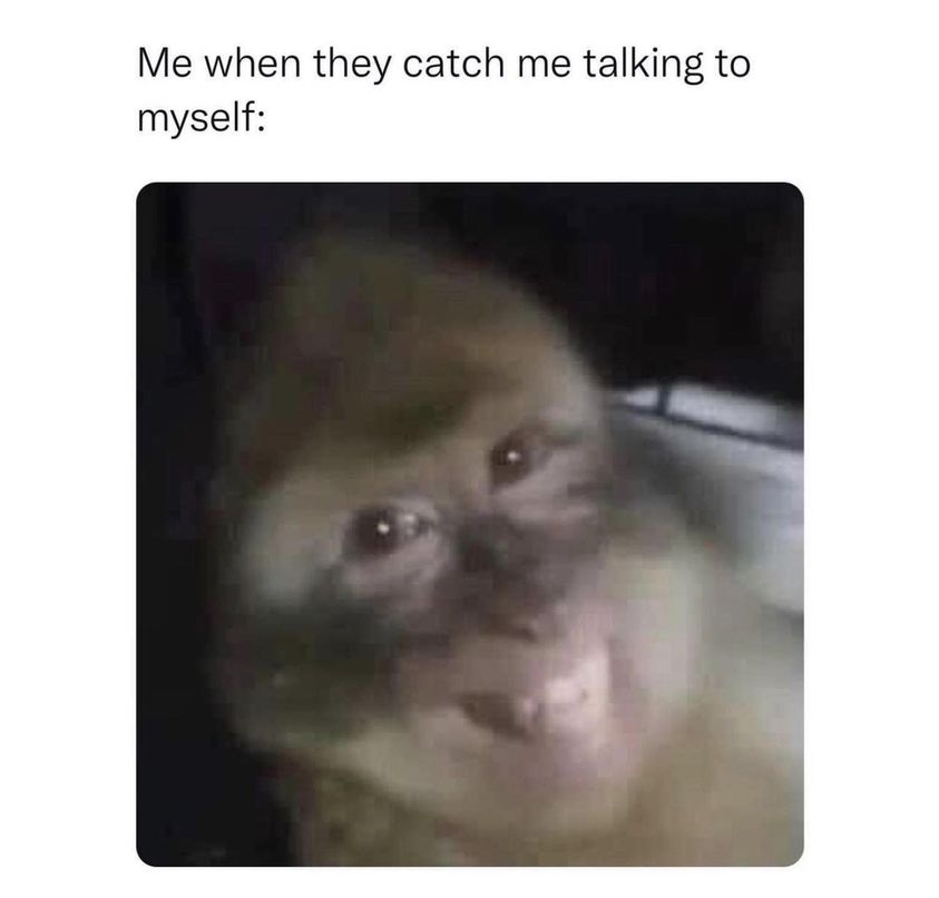 Talking to myself memes