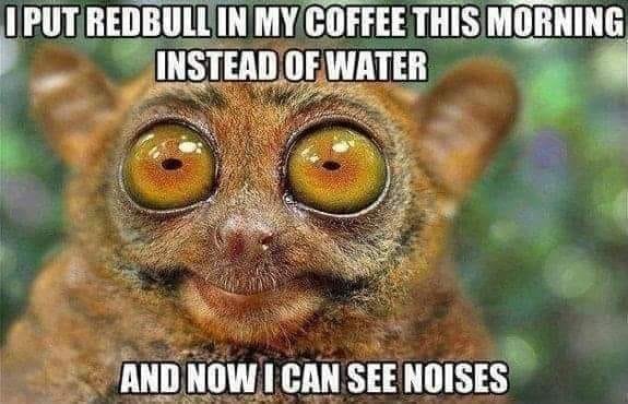 20 Animal Memes Featuring The Most Unpredictable Animal Antics 4 I can see noises