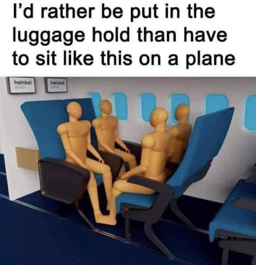 35 Introvert Memes That Celebrate The Quiet Life 8 Id rather be put in luggage
