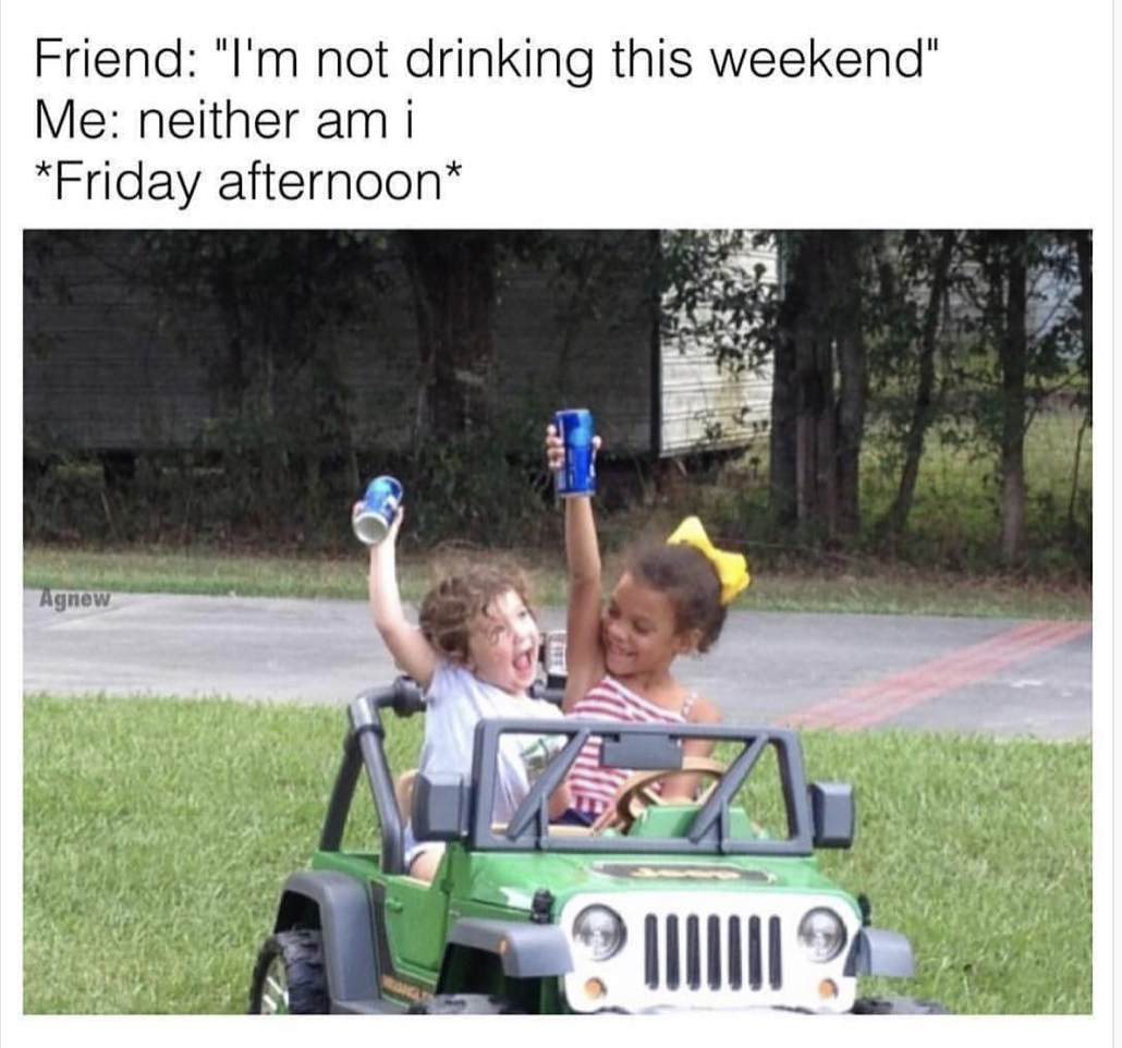 25 Hilarious Drinking Memes That Will Make You Say "Cheers!" 7 Im not drinking this weekend