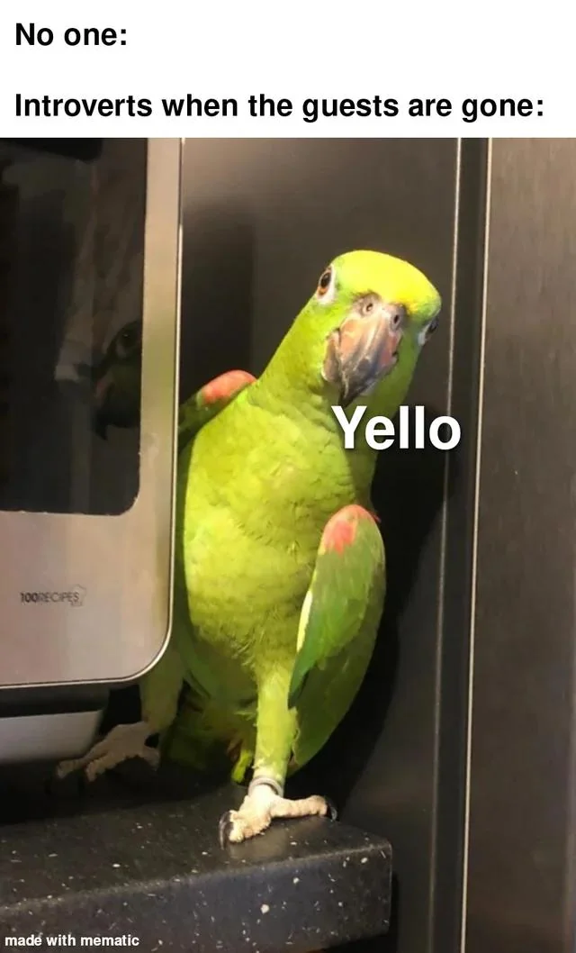 30 Funny Animal Memes That Will Make You Forget Your Troubles 8 Introverts when the guests are gone - funny animal memes