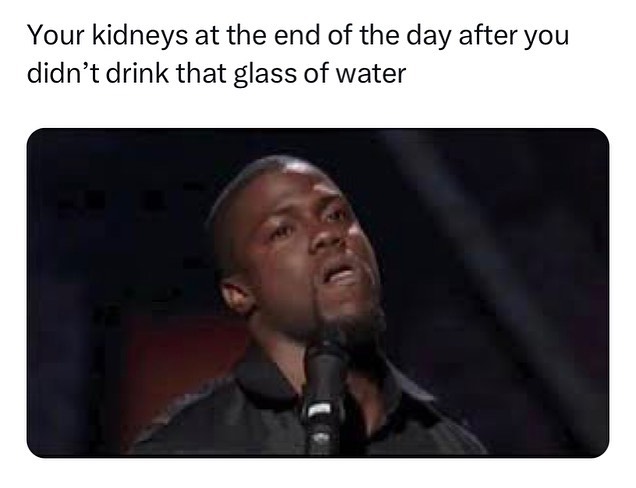 25 Kevin Hart Memes That Will Make You Laugh Your Heart Out 10 Kidneys at the end of the day - Kevin hart memes