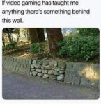 Video game memes