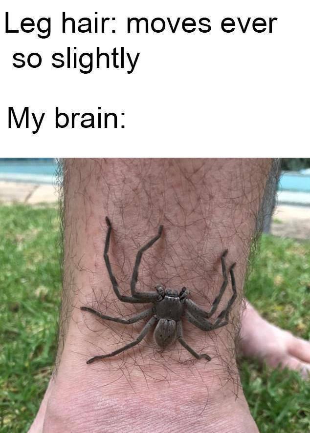 Meme-ify Your Life: 15 Memes That You Can't Help But Share 7 Leg hair moves