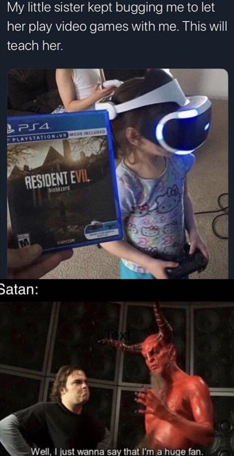 25 Dumb Memes That Will Make You Laugh Anyway 11 Little sister kept bugging me - Dumb Memes