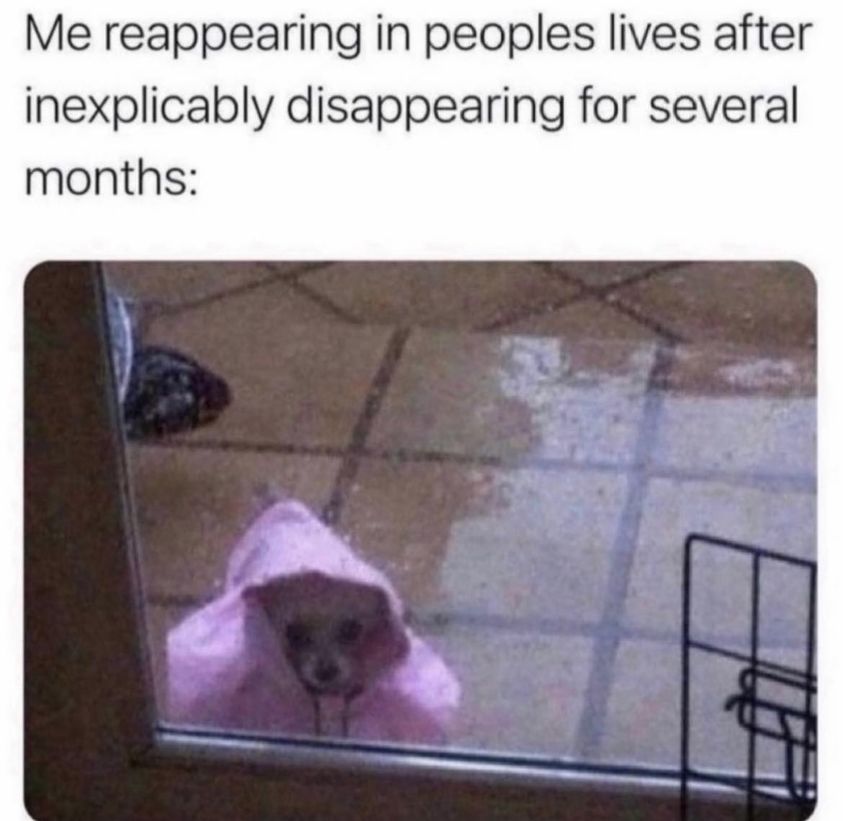 Me Reappearing In Peoples Life 1 Reappearing in peoples life meme