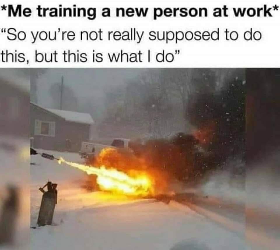 30 Tuesday Memes To Make Your Way Out Of Tuesday Snoozeday 8 Me training a new person at work