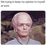 Opinion memes