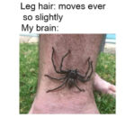 Memes That You Cant Help But Share - FG.jpg