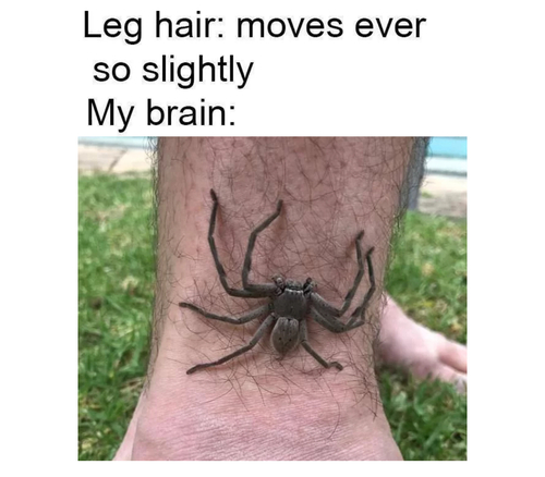 Memes That You Cant Help But Share - FG.jpg