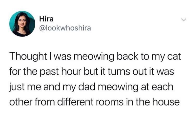 25 Dumb Memes That Will Make You Laugh Anyway 13 Meowing back - Dumb Memes