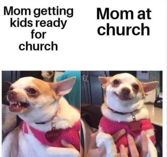 20 Animal Memes Featuring The Most Unpredictable Animal Antics 6 Mom getting kids ready for church
