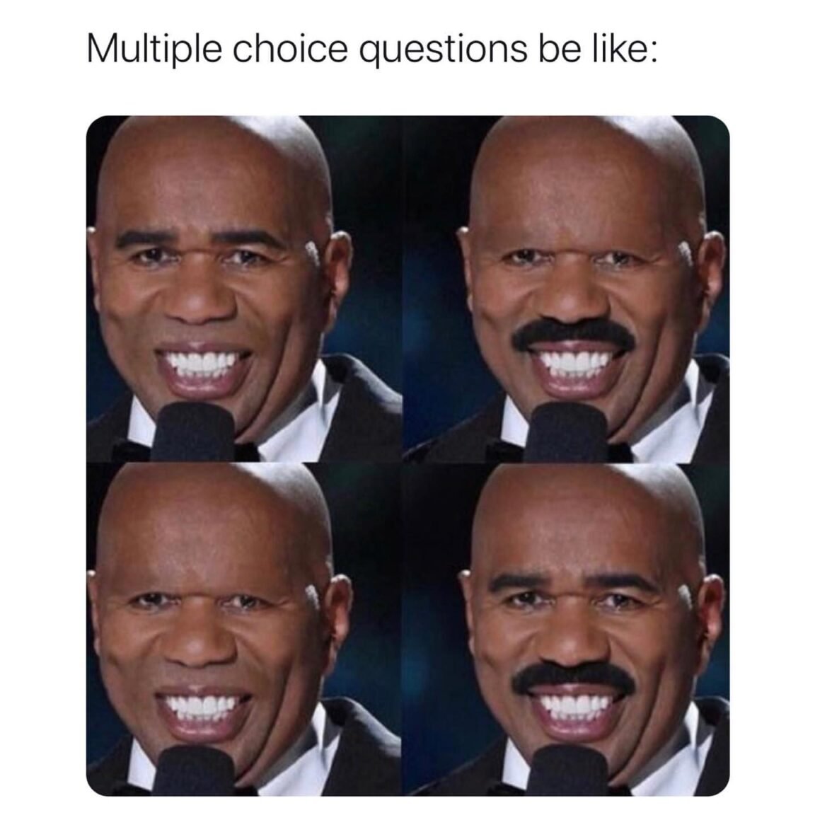 multiple-choice-questions-meme-chameleon-memes