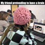 Brain memes