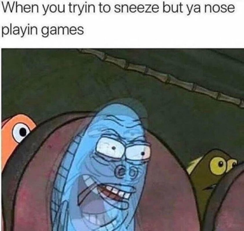 Sneeze memes