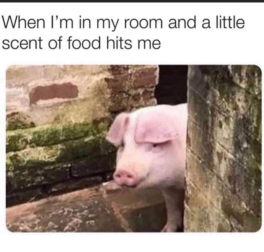 Oink! Oink! 1 Scent of food meme