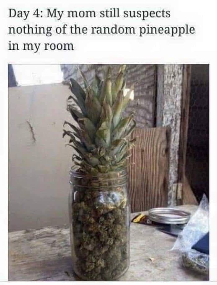 Pineapple Express! 1 Pineapple Express!