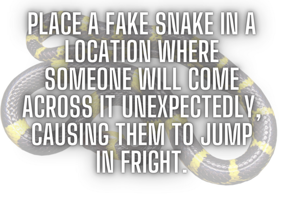 20 Short April Fool Pranks That Will Make You Look Like A Prankster Pro 5 Place a fake snake in a location